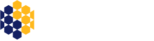 DFI Logo